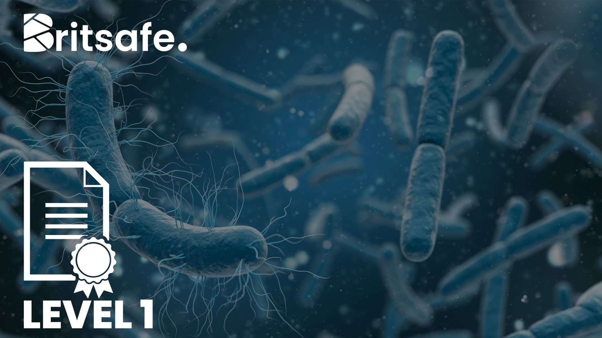 Britsafe Level 1 Award in Biological Monitoring for Workplace Health